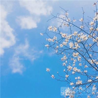 九游龙魂之剑手游下载