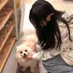 贪玩至尊单机手游下载